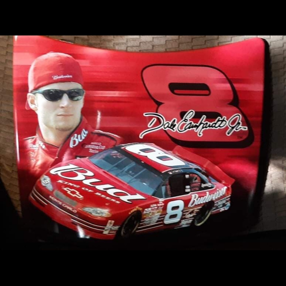 EUC Dale Earnhardt Mimi Hood